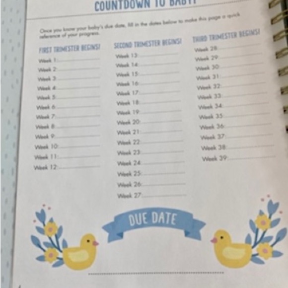 Bump for Joy Baby Boy Pregnancy Memory Keepsake Journal Book - Picture 4 of 13